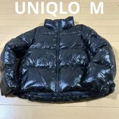 Item thumbnail for item a051f69d-23b7-4aa4-8d38-ca55702c3e0e