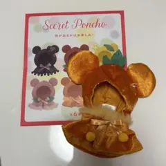 ディズニーストア シークレット ポンチョ オレンジ