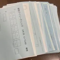 サピックス　算数ディリーチェック 基礎力定着　1～35回M