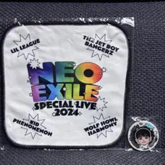 エイロン ハンドタオル セット