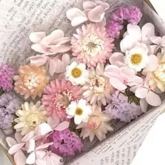 プリザーブド＆ドライフラワー花材mix No.11