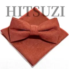 ☆蝶ネクタイ　結婚式 メンズ小物　新郎新婦　無地　挙式　atw