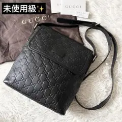 未使用級✨GUCCI グッチ　グッチシマ　ショルダーバッグ　GG柄　223666