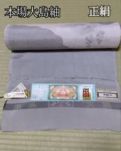 大特価！！本場大島紬　大島紬　正絹　伝統工芸品　純絹　本場奄美大島紬　秀品