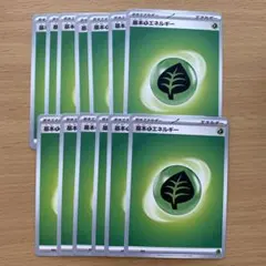 ポケモンカード 基本草エネルギー 13枚