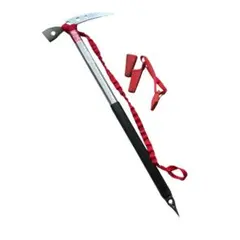 Item thumbnail for item cbb22ffb-5ef4-4ec9-8a61-ba4e03d6a256