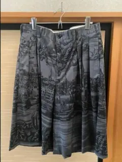 COMME des GARÇONS HOMME PLUSショーツのサムネイル