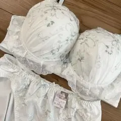 Juliange ブラジャー D85 ショーツLL セットのサムネイル