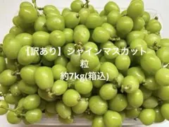 【訳あり】シャインマスカット粒☆約7kg(箱込) 訳あり】シャインマスカット粒☆約7kg(箱込) - メルカリ