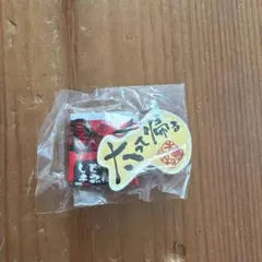 水曜どうでしょう ピンバッジ それ魅力！ 未開封　年代物