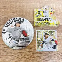 ソフトバンクホークス 杉山一樹選手 ころっとアクリルミニフィギュア 鷹祭缶バッジ