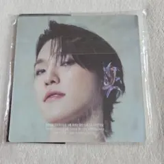 【未使用品】 SEVENTEEN ディノ パズル