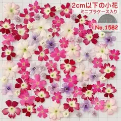 No.1582 バーベナ＆かすみ草 ドライフラワー