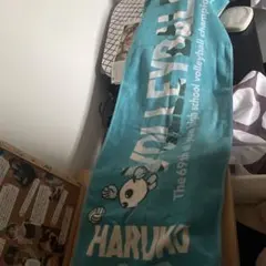 Item thumbnail for item b9445504-01cc-4040-b1b3-faf1e551bb58