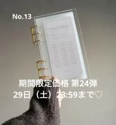 韓国人気♡ saving challengeシート A6サイズ