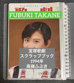 Item thumbnail for item 729d24fd-bba9-4b3b-8f02-f94a99afcd54