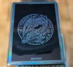 青眼の白龍　特製プロテクター　スリーブ　サテライトショップ　90枚 2026年最新】青眼 スリーブ サテライトの人気アイテム - メルカリ