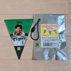 ゴルフ大好き様 リクエスト 5点 まとめ商品