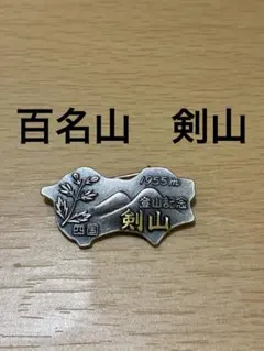 Item thumbnail for item 131bb7af-6b2c-4846-b20d-cb8e3322de28