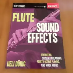 HAL LEONARD Flute Sound Effects 洋書