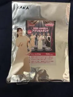 東北ゴールデンエンジェルス 記念グッズ