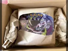 ポケモンセンターから本日(5/23)届きました。 シュリンク付きです 