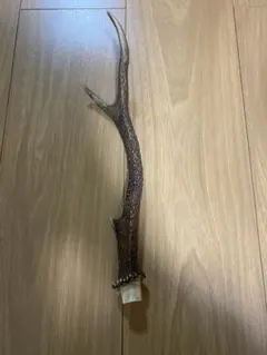 大人気　鹿の角　インテリア雑貨　ニホンジカ　置物