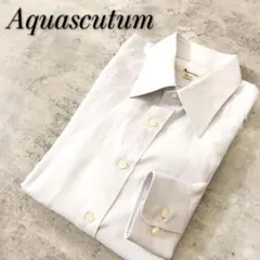 Item thumbnail for item cf26078d-17f3-4191-add1-5d16d758fb73