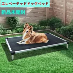 Item thumbnail for item 4fe93998-fd0c-4188-877b-043e9d5d416c