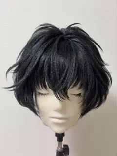甲斐倫太郎】ウィッグオーダーご確認ページ - メルカリ