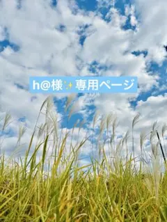 h@様✨専用ページ