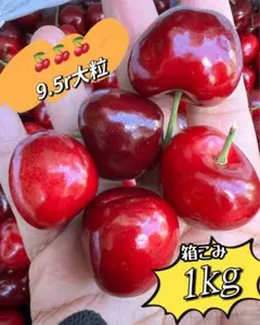 高級チェリー食べ比べセット レーニアチェリー アメリカンチェリー