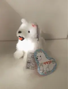 くったりサモエドくん　ボールチェーン付きマスコット