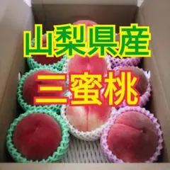 山梨県産　蜜桃　三蜜桃　3kg箱　残り4箱　専用不可
