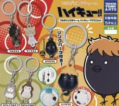 ハイキュー!! つながリングチャームマスコット カゲガラス、ボクトフクロウセット