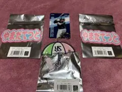 LILY様 リクエスト 2点 まとめ商品