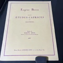 Item thumbnail for item 0844fba8-fbcc-49d5-93a9-78f71fefbef6