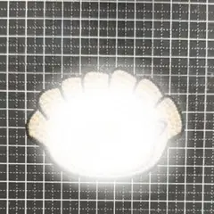 NEWS ハンドメイド デコうちわ
