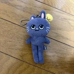 RIIZE ウォンビン ぬいぐるみ トニャンドク 10cm ドール - メルカリ