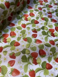 2m 撥水加工　いちご　ポリエステルオックス　ハギレ　生地