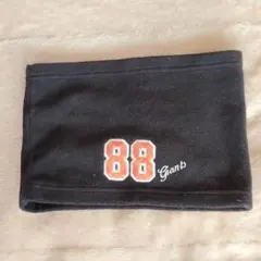 Item thumbnail for item 3b394a85-ddd8-4f8a-91d5-34761b7072ee