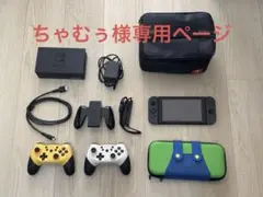 ★ちゃむぅ様専用★Nintendo Switch本体グレー　 付属品完備