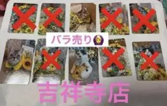 Item thumbnail for item 0528b273-04ca-4aea-8b09-46a2699b69f9