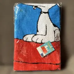 Item thumbnail for item a3bf3094-9dec-4e49-b1fe-b3c69c63b941