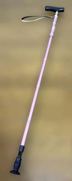 Item thumbnail for item 5ead16c5-d48c-4773-b70e-8c4c68c4b0c8