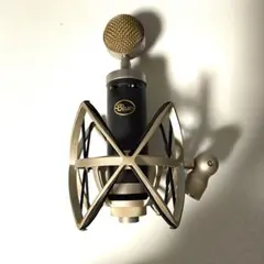 Blue Baby Bottle SL コンデンサーマイクのサムネイル