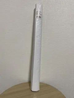 亀と山P ポスター