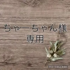 ちゃーちゃん様 リクエスト 3点 まとめ商品
