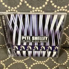 Pete Shelley The Best of PeteShelleyサンプル