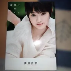 2025年最新】剛力彩芽 写真集の人気アイテム - メルカリ